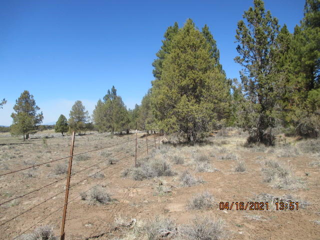 1200 Yellow Jacket (off Of) Road Beatty, OR 97621 - Photo 6 of 10 IMG_6958