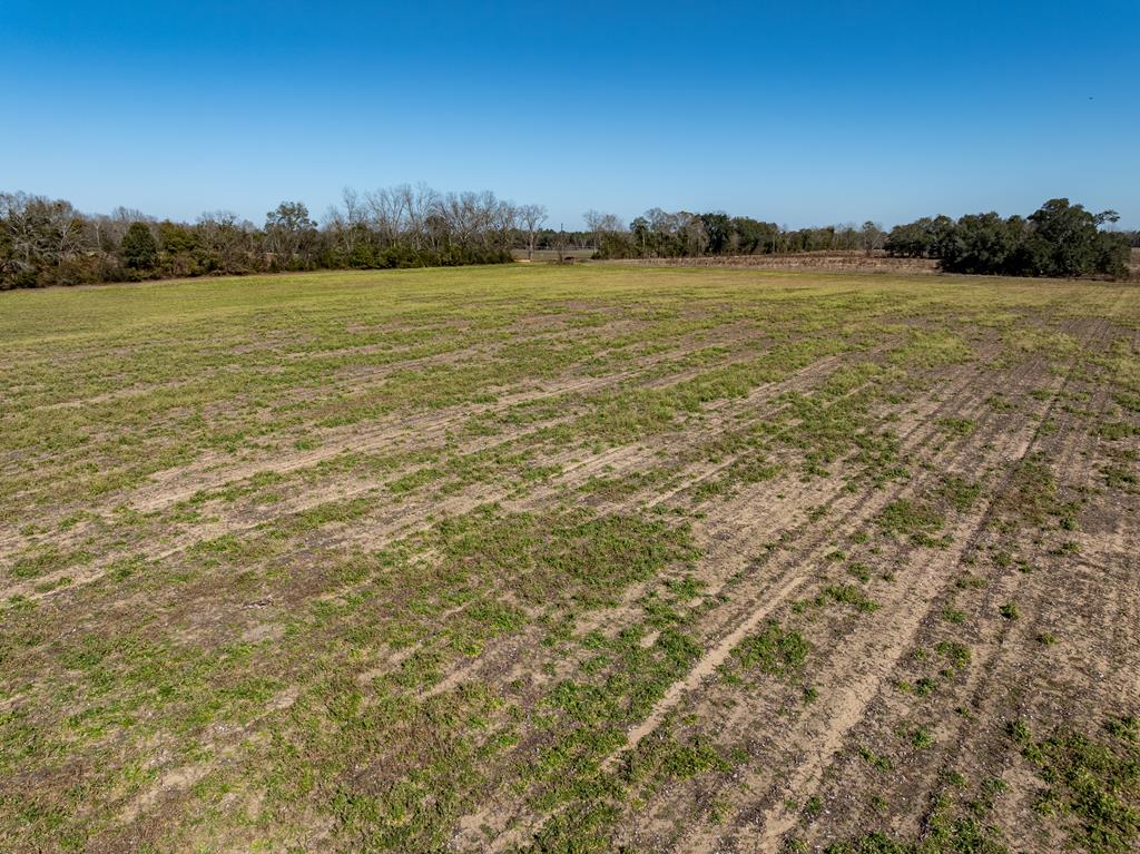 31.5-ac 31.5-ac Rammer Loop Road Dothan, AL 36301 - Photo 15 of 49