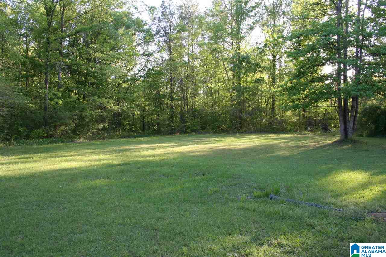 7340 Highway 144 Ragland, AL 35131 - Photo 28 of 40