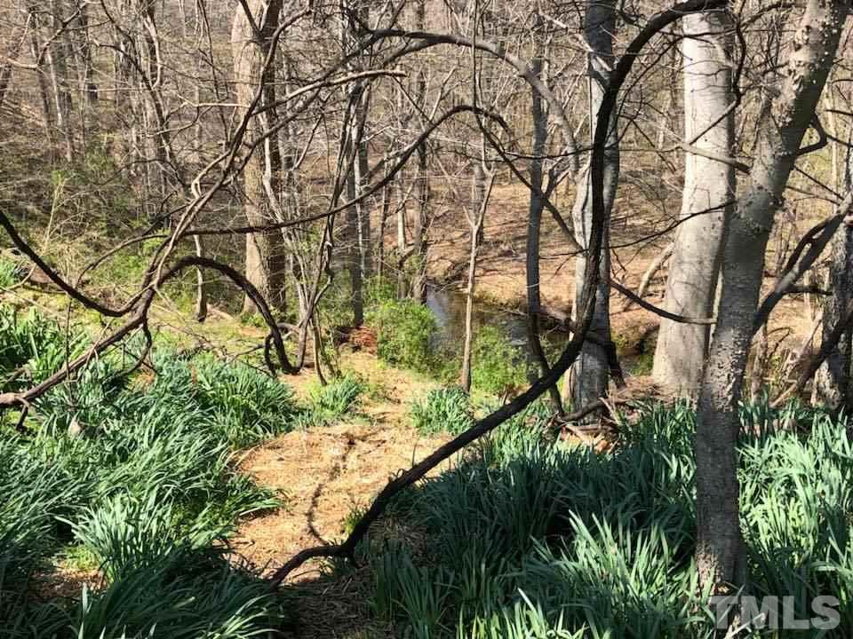 41 Anderson Jones Road Roxboro, NC 27574 - Photo 4 of 25 a backyard of a house with lots of green space