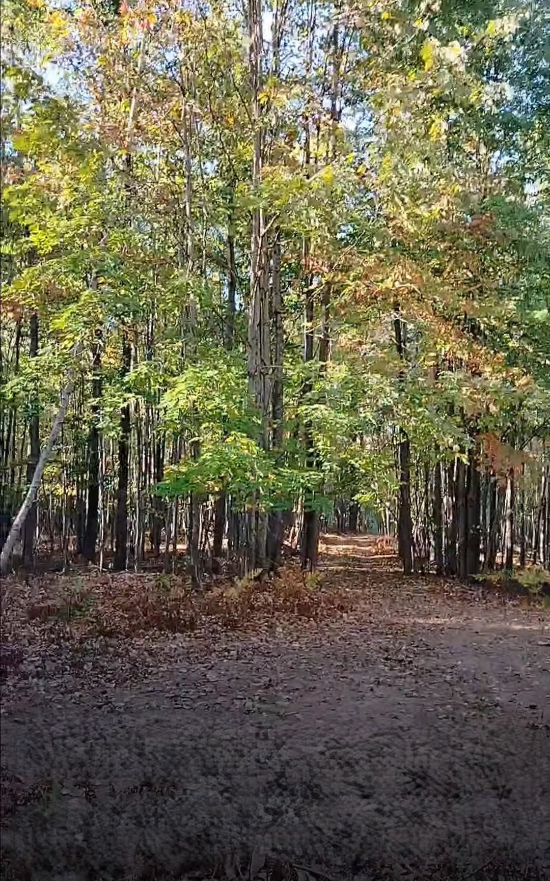 3678 North Dublin Road Midland, MI 48642 - Photo 2 of 11