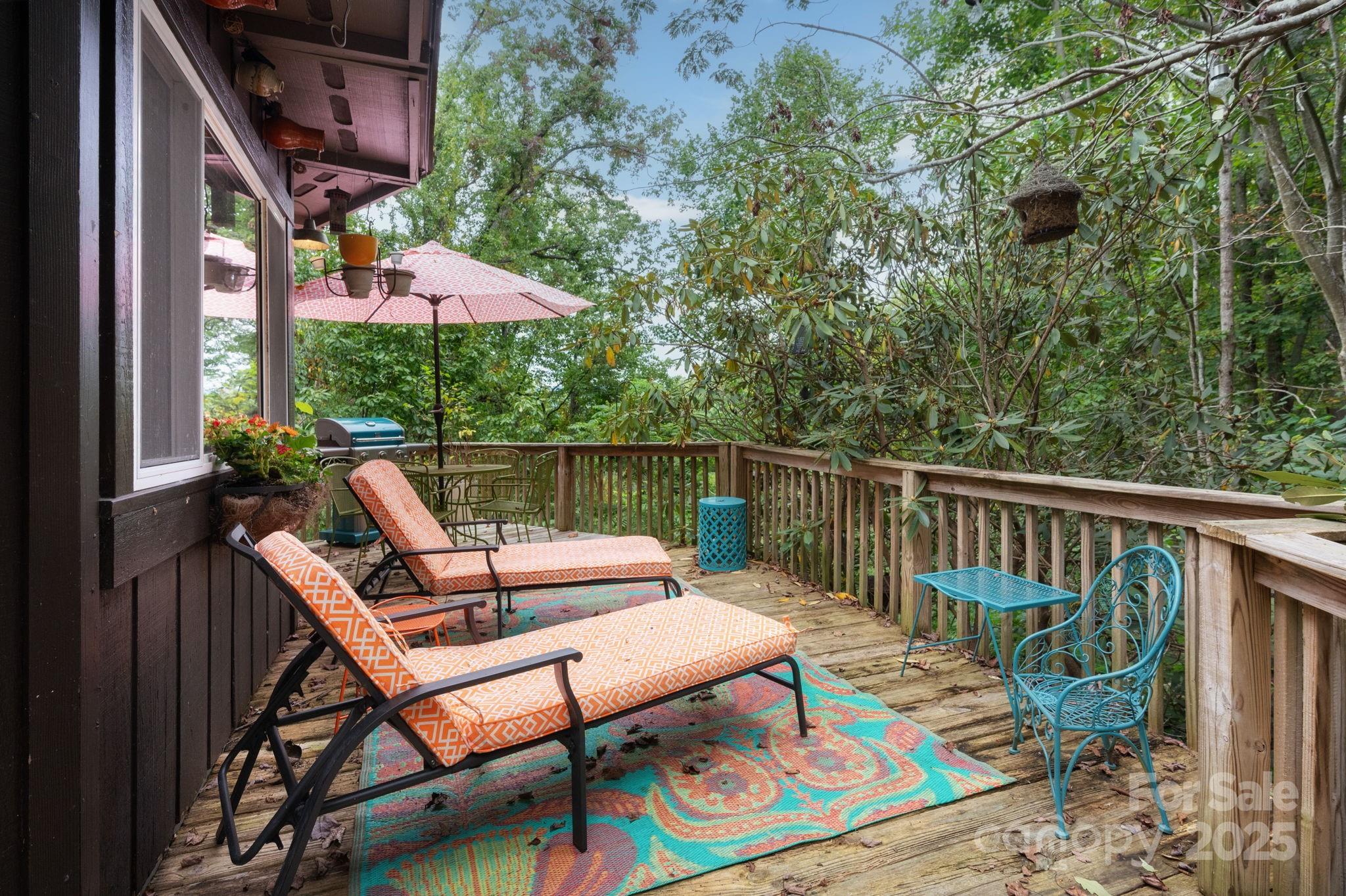 9 Reuben Road Asheville, NC 28804 - Photo 4 of 44 Gallery Image 4