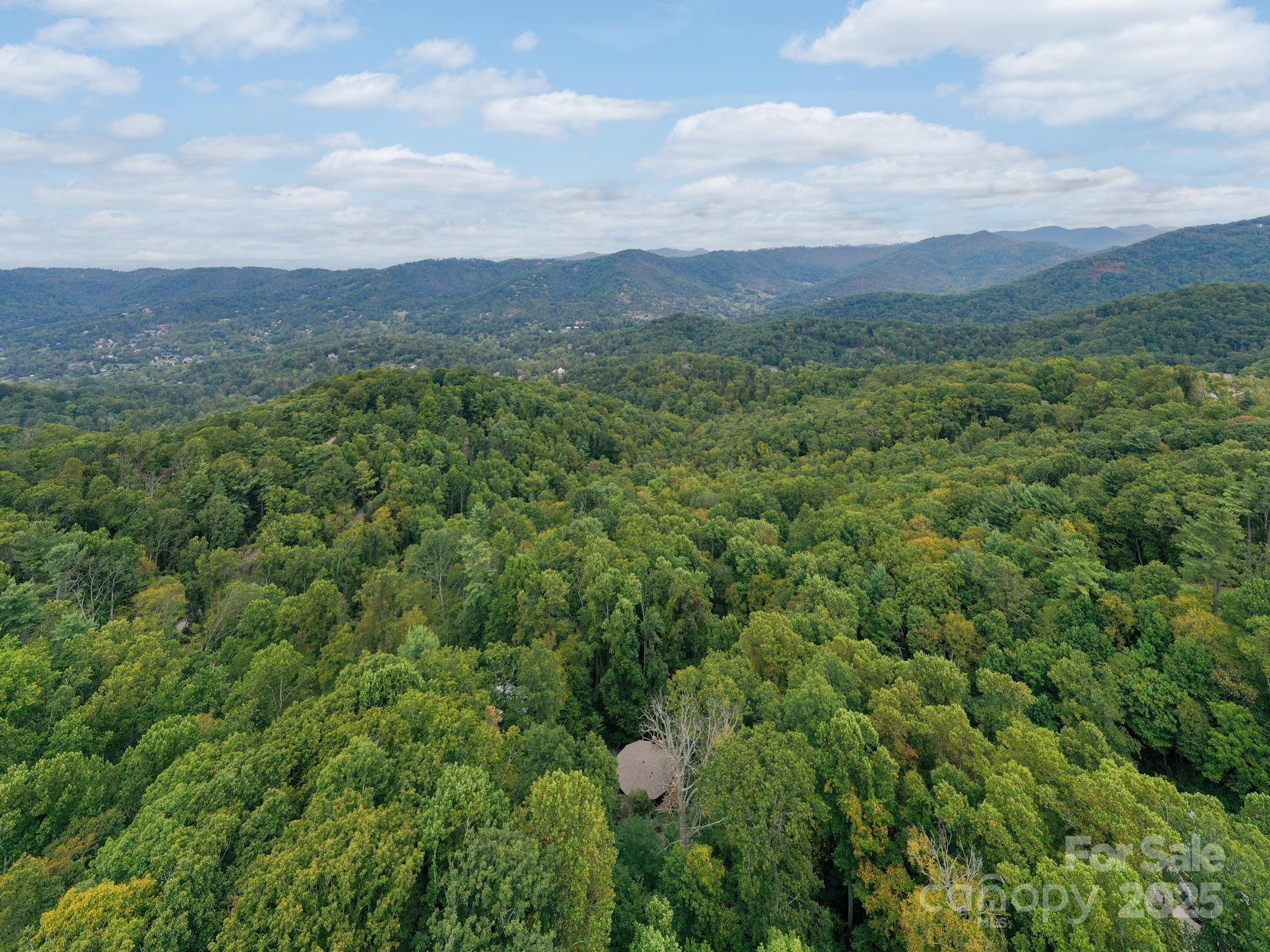 9 Reuben Road Asheville, NC 28804 - Photo 41 of 44 Gallery Image 41