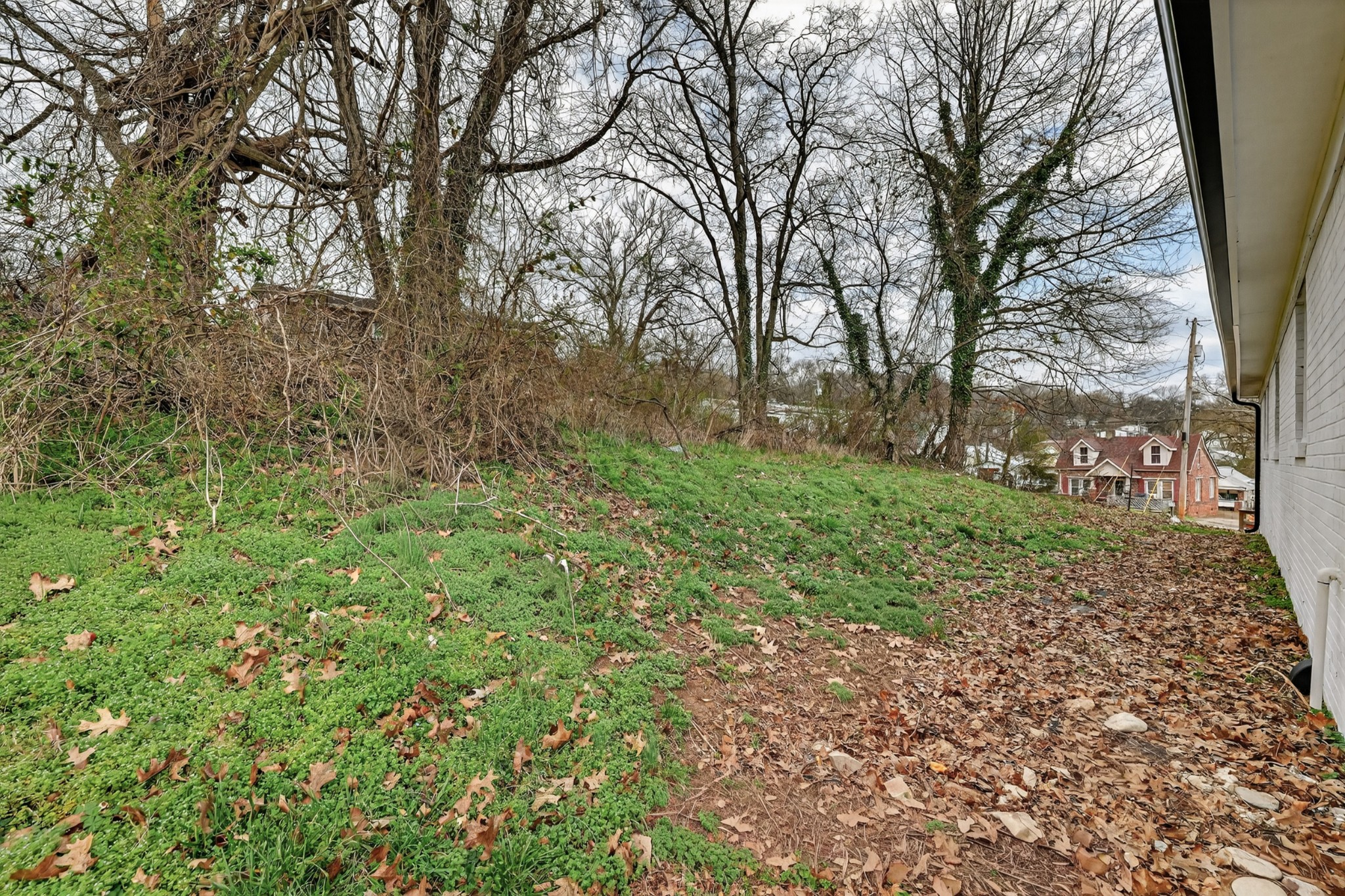 350 North 3rd Street Pulaski, TN 38478 - Photo 30 of 31