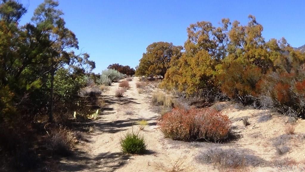 37245 Old Forest Road Anza, CA 92539 - Photo 17 of 41