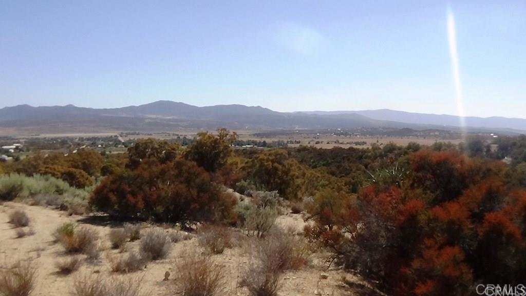 37245 Old Forest Road Anza, CA 92539 - Photo 20 of 41