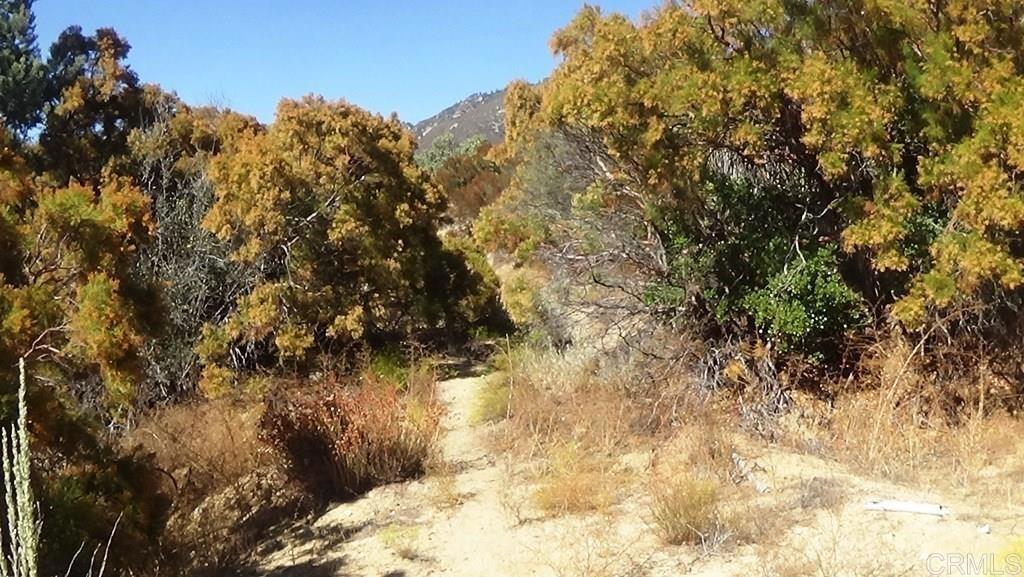 37245 Old Forest Road Anza, CA 92539 - Photo 27 of 41