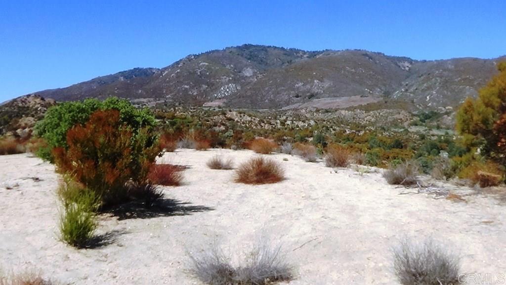 37245 Old Forest Road Anza, CA 92539 - Photo 3 of 41