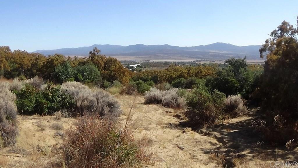 37245 Old Forest Road Anza, CA 92539 - Photo 37 of 41