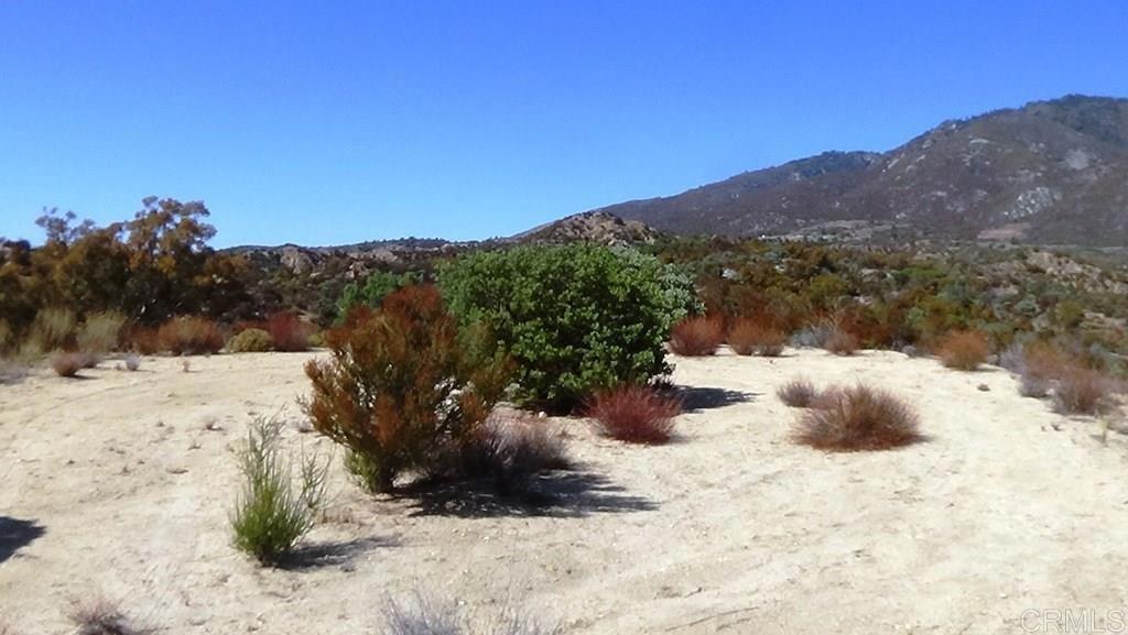 37245 Old Forest Road Anza, CA 92539 - Photo 4 of 41