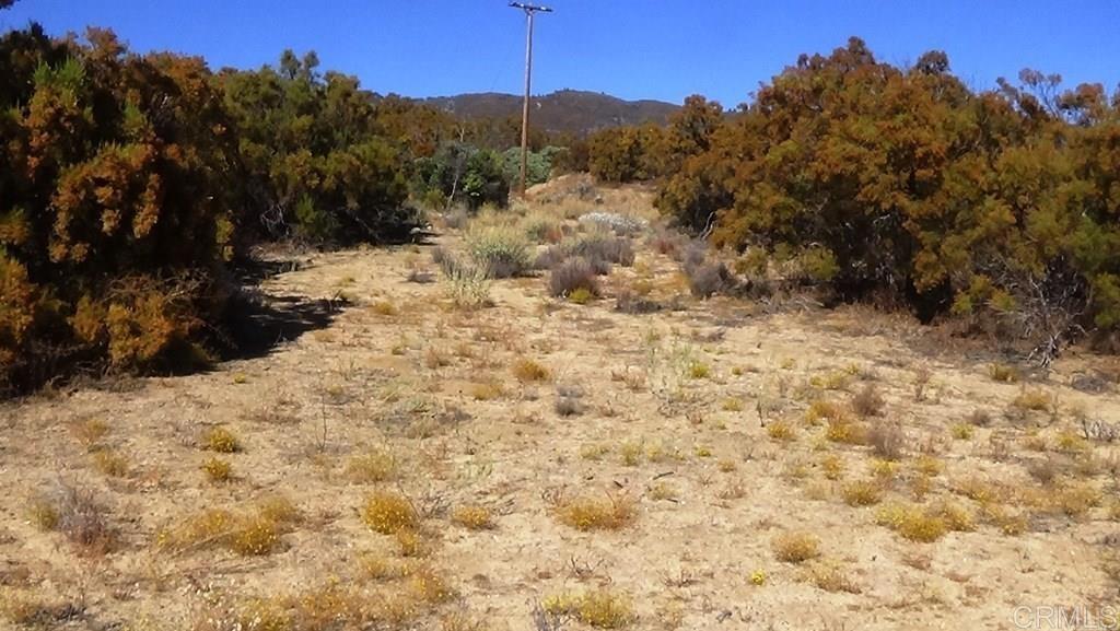37245 Old Forest Road Anza, CA 92539 - Photo 41 of 41