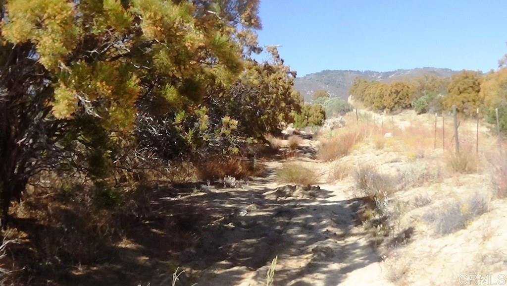 37245 Old Forest Road Anza, CA 92539 - Photo 6 of 41