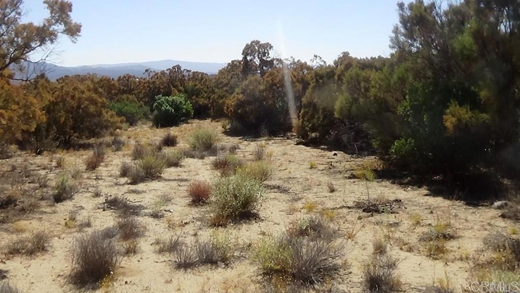 37245 Old Forest Road Anza, CA 92539 - Photo 8 of 41