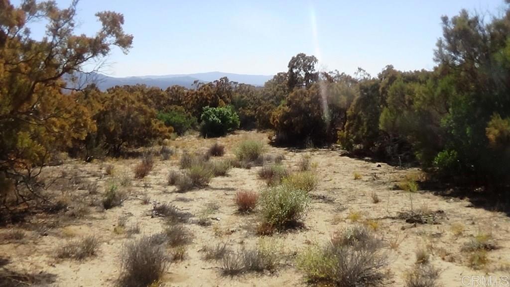 37245 Old Forest Road Anza, CA 92539 - Photo 10 of 41