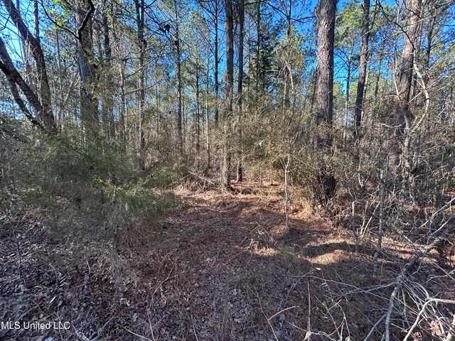 $170,000 | 759 Shuqualak Road, Preston, MS 39354