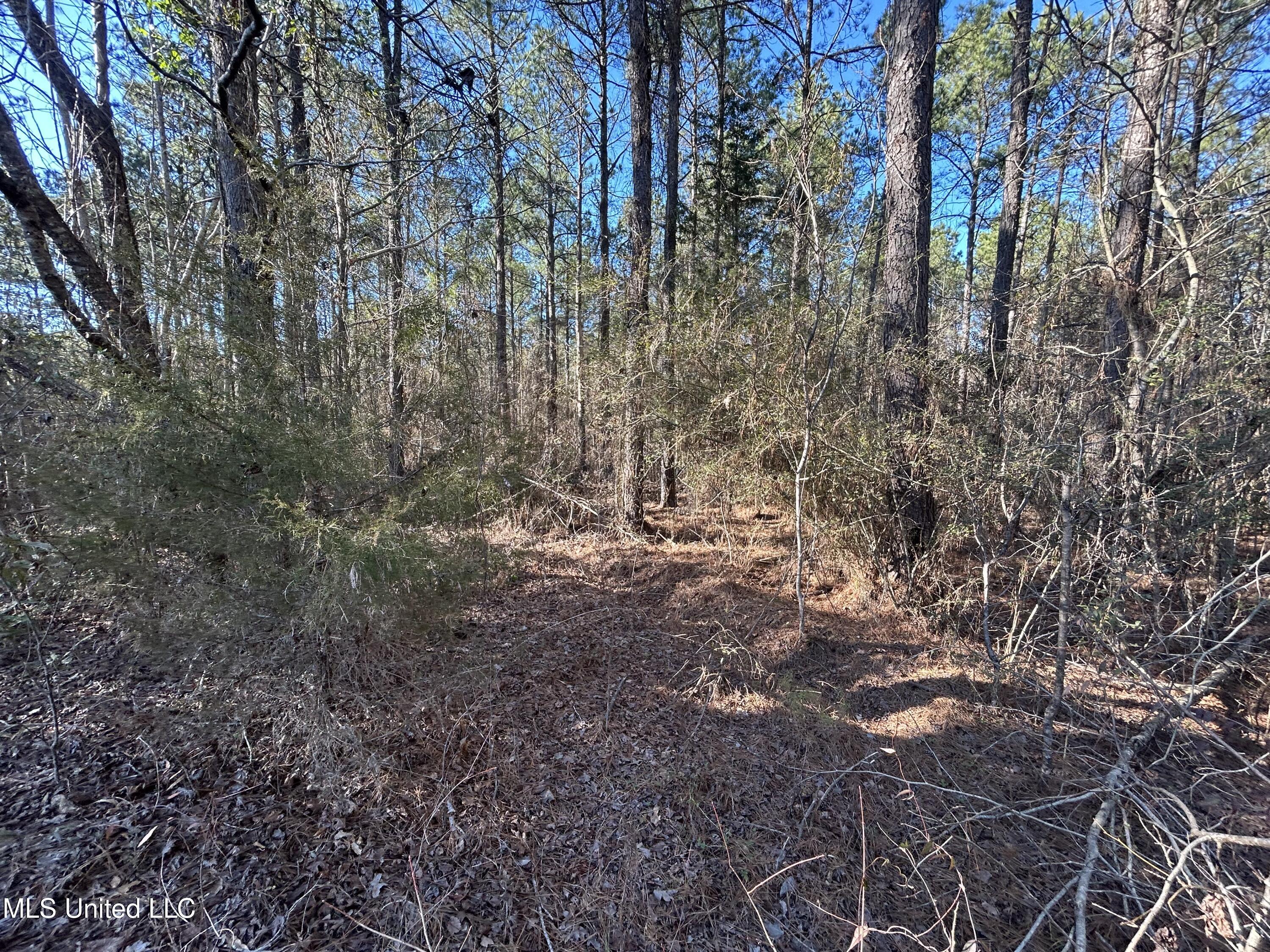 759 Shuqualak Road Preston, MS 39354 - Photo 52 of 57 IMG_1371