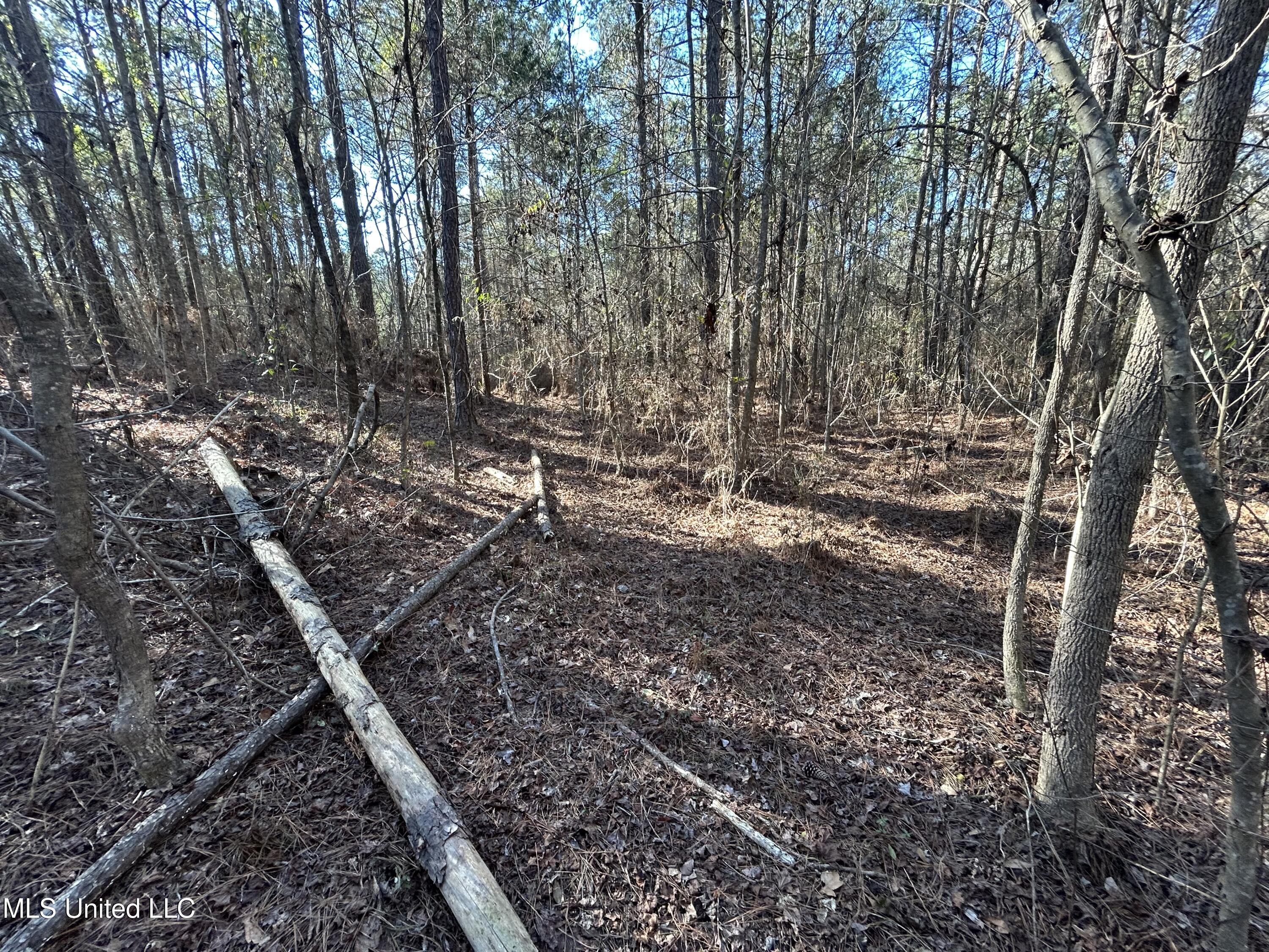 759 Shuqualak Road Preston, MS 39354 - Photo 53 of 57 IMG_1372