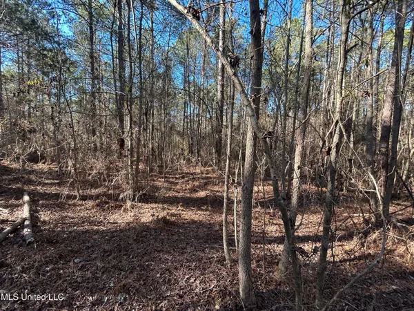 $170,000 | 759 Shuqualak Road, Preston, MS 39354