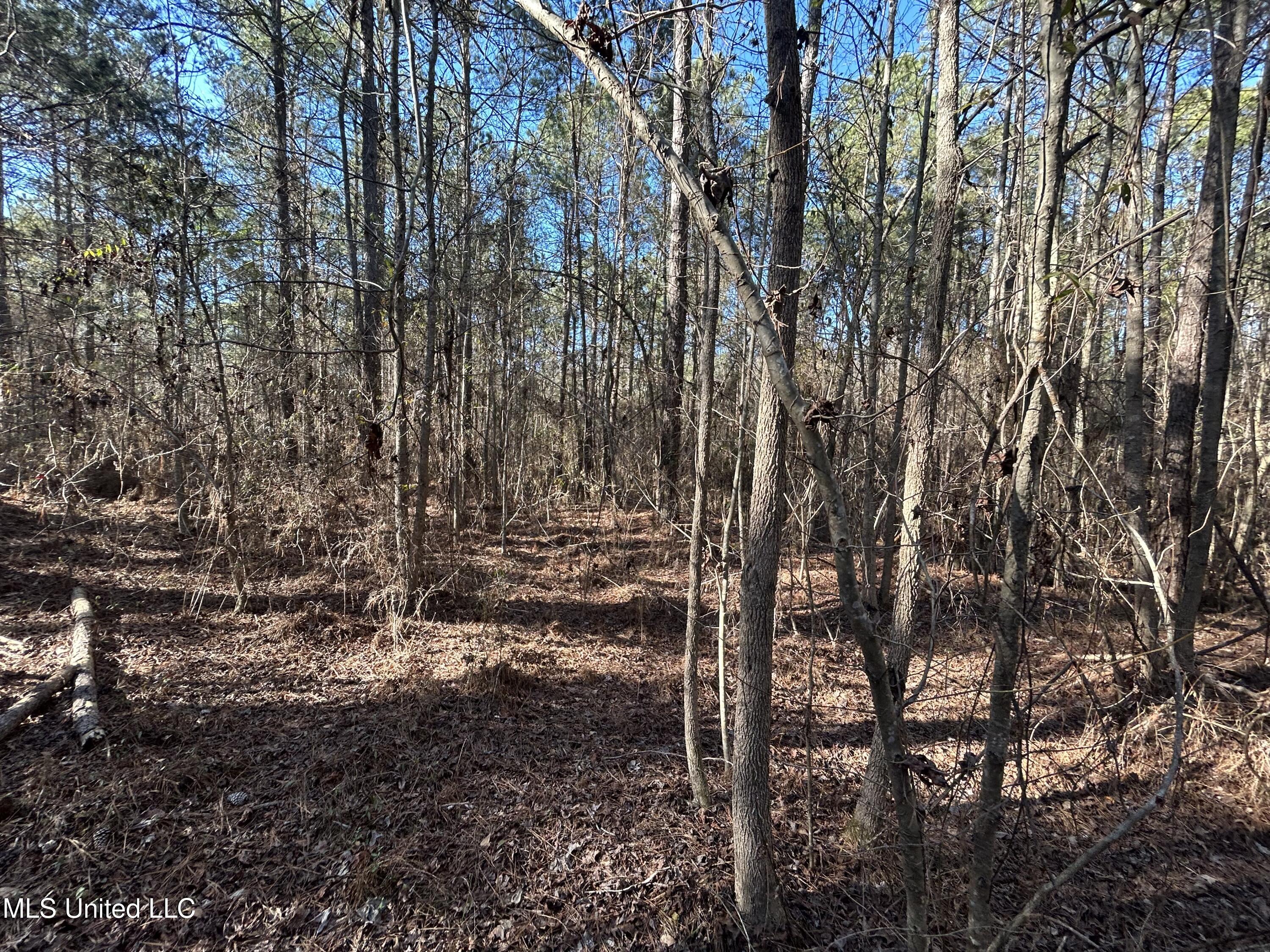 759 Shuqualak Road Preston, MS 39354 - Photo 54 of 57 IMG_1373