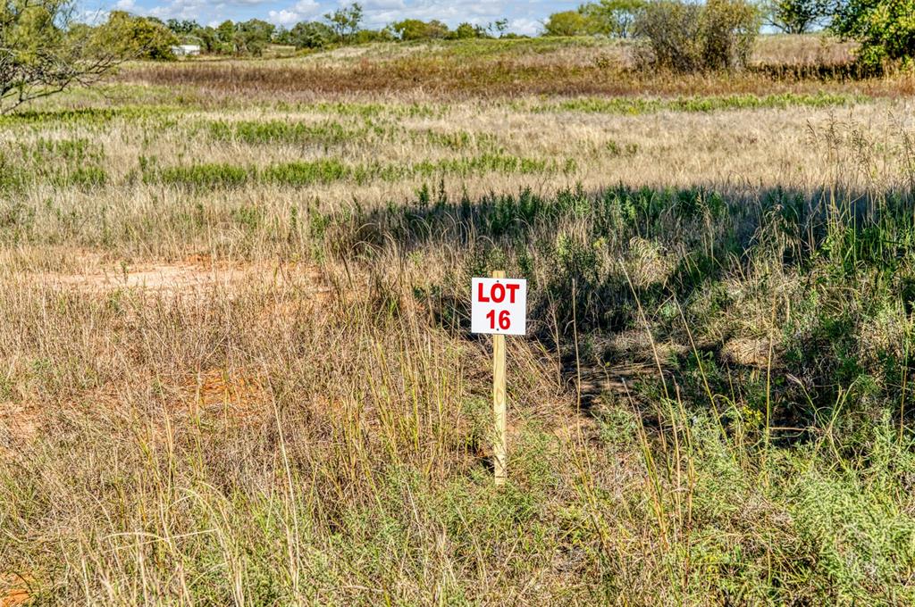 Tbd Wilson Road Perrin, TX 76486 - Photo 20 of 30