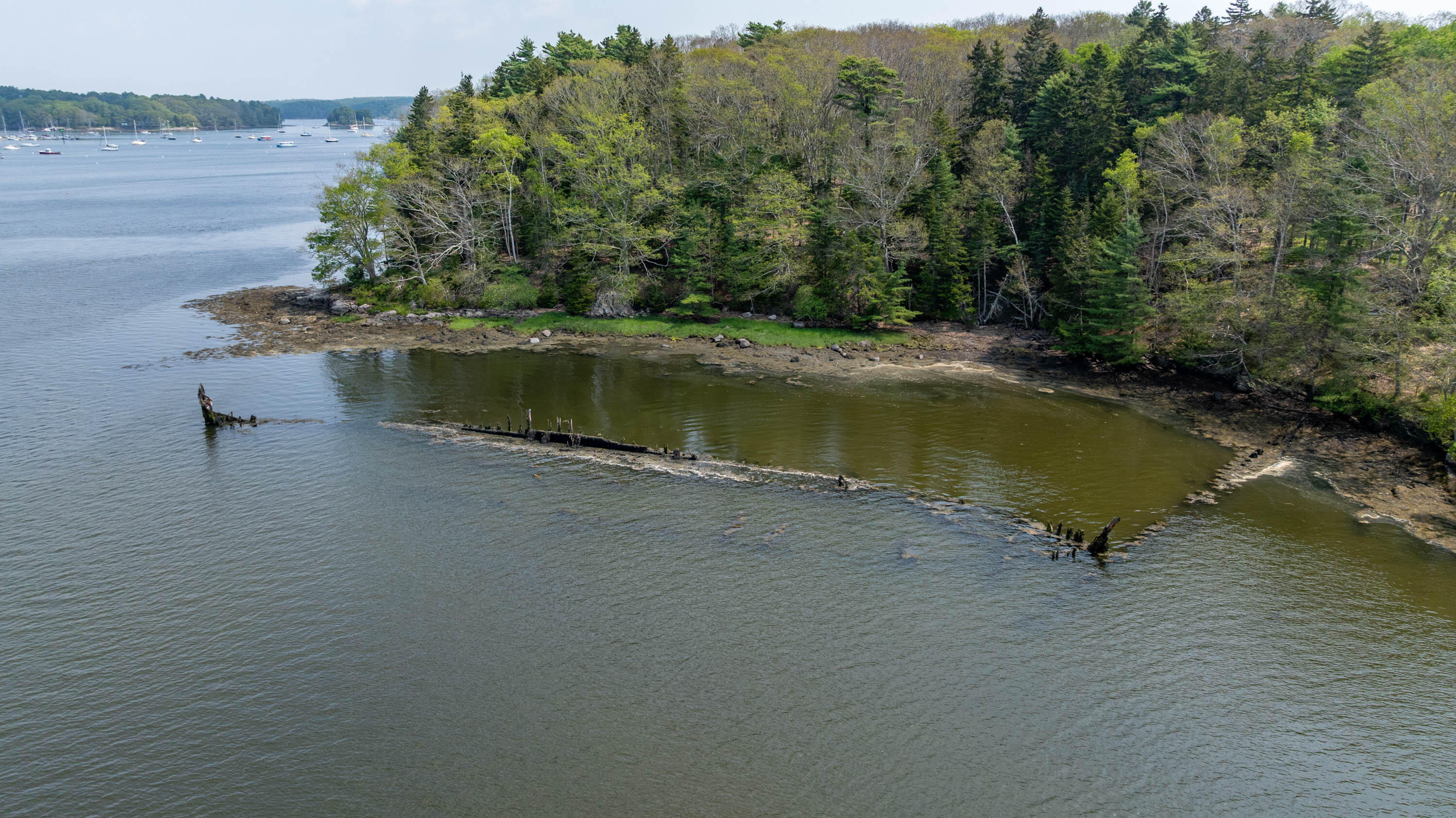 Lot 45 B Cove Road Georgetown, ME 04548 - Photo 5 of 18 pic-11