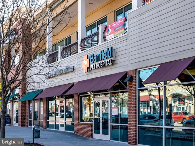 a view of a back yard with green space