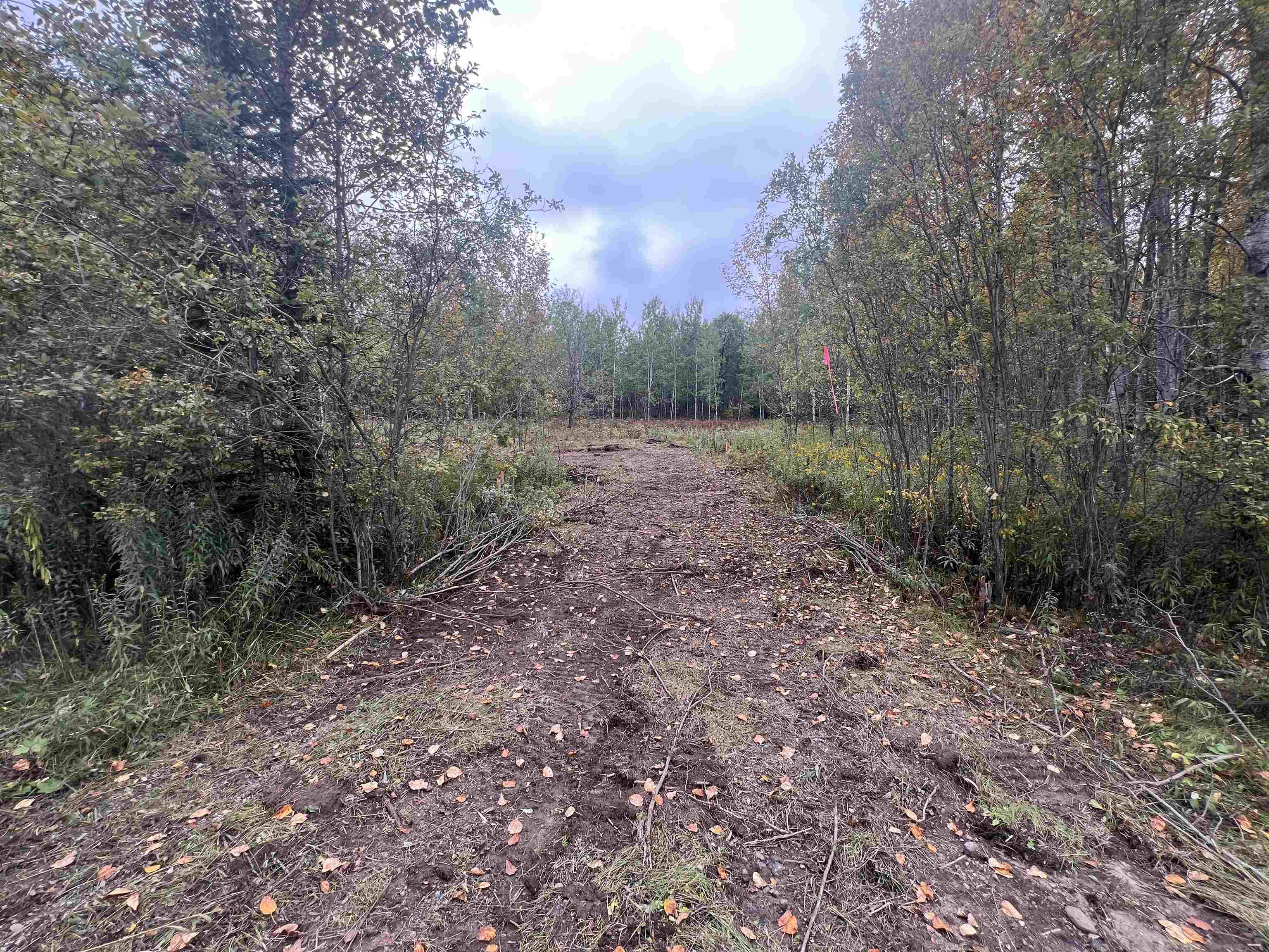 Dream Lake Road, Unit 6 & 7 Long Lake, WI 54542 - Photo 3 of 7