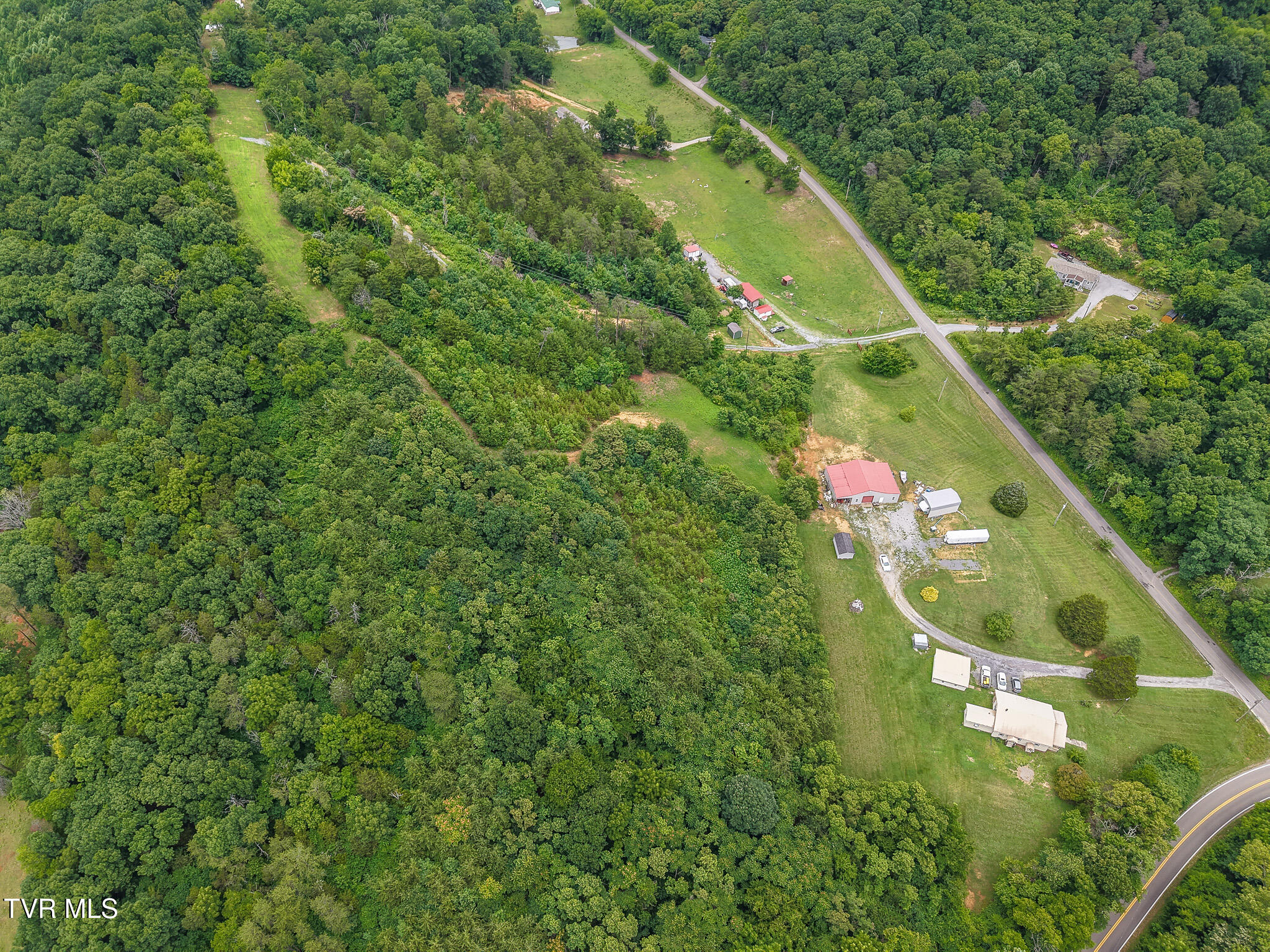 1903 Pleasant Ridge School Road Talbott, TN 37877 - Photo 9 of 43 Pleasant 14