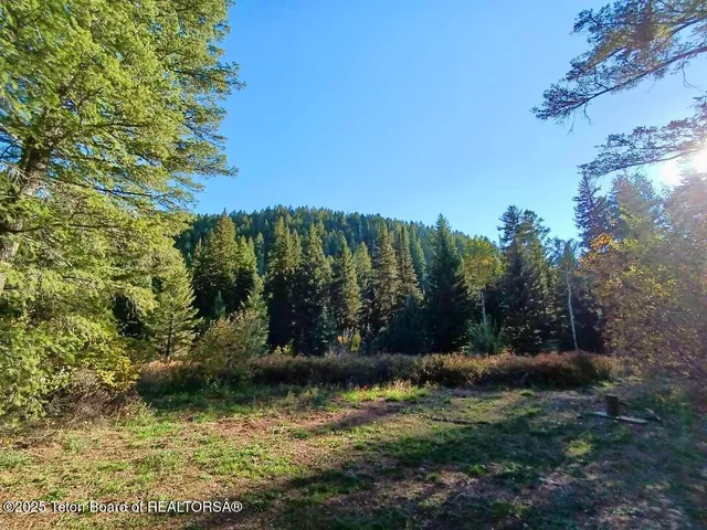 $975,000 | 466 Willow Crk Cyn Road, Bedford, WY 83112