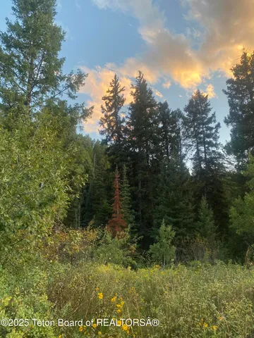 $975,000 | 466 Willow Crk Cyn Road, Bedford, WY 83112