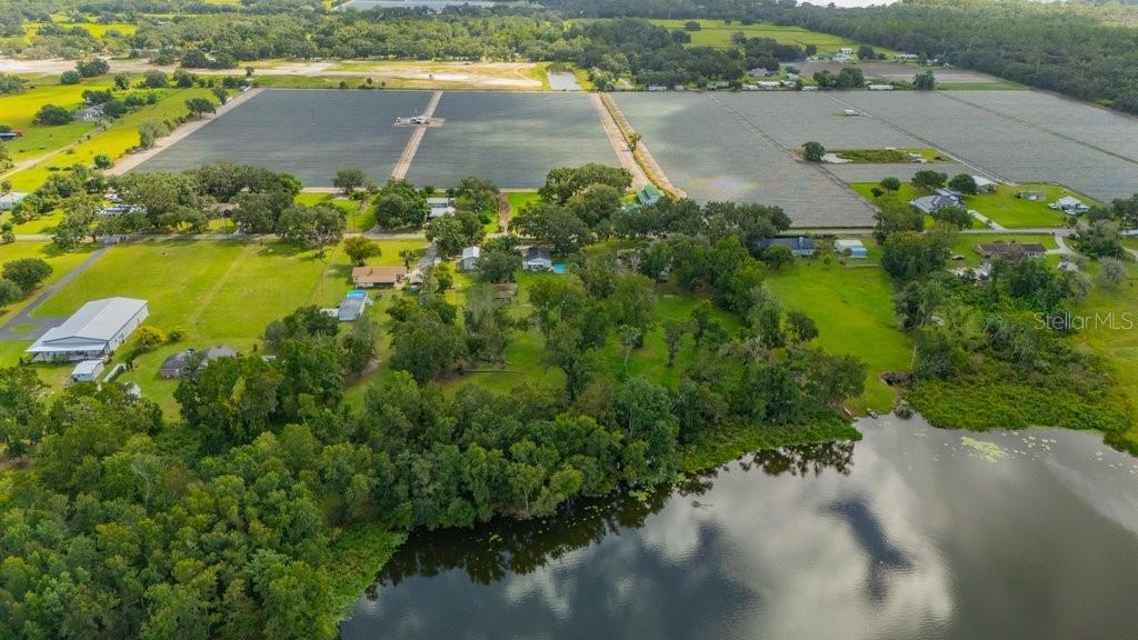 3011 Lewis Road Dover, FL 33527 - Photo 53 of 56 Gallery Image 53