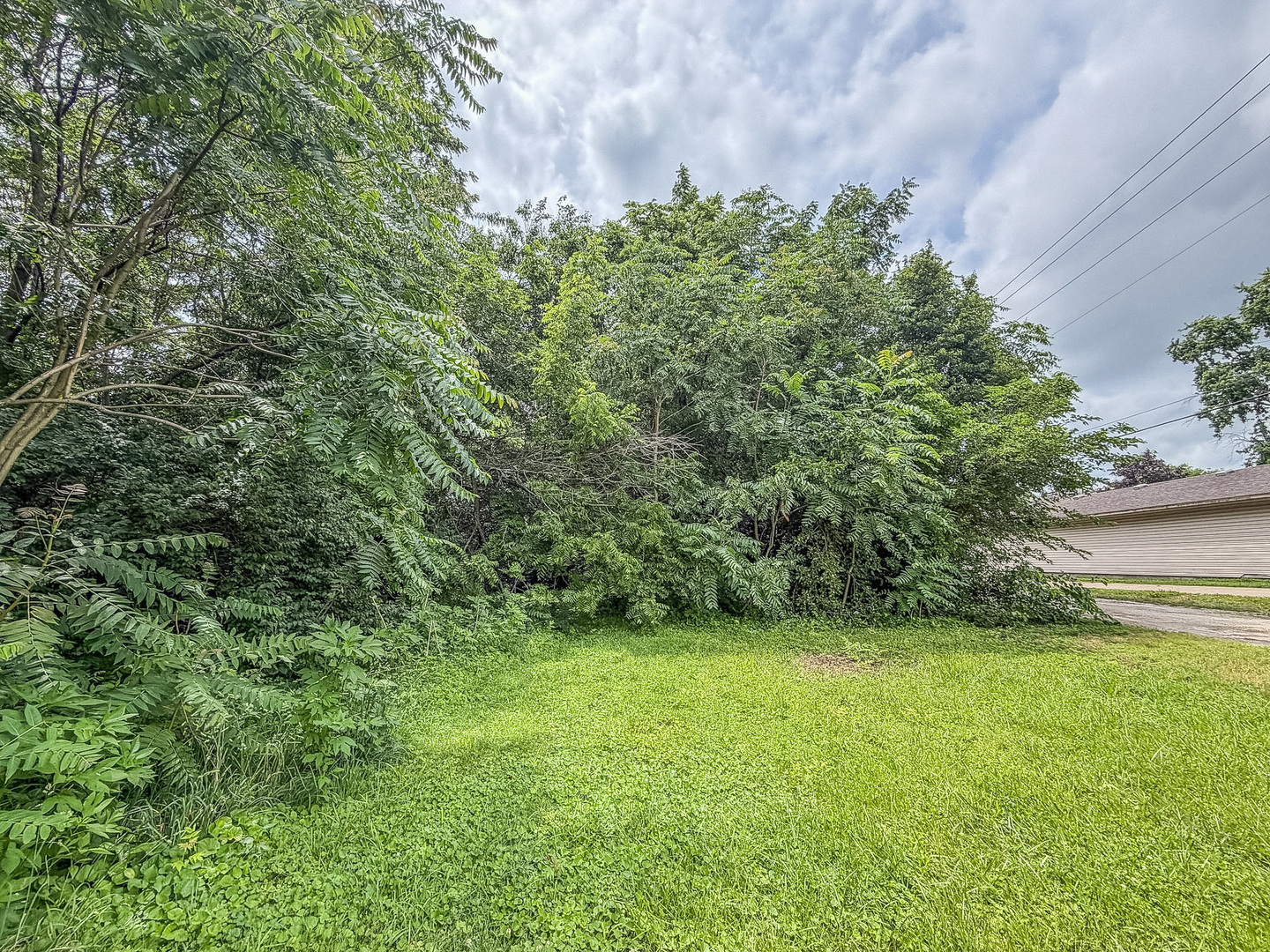 2405 Austin Lane Champaign, IL 61821 - Photo 2 of 3