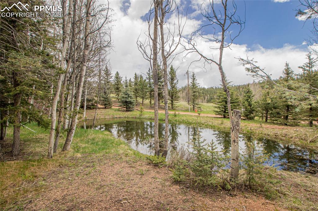 1699 Spring Valley Drive Divide, CO 80814 - Photo 30 of 43 a view of lake with green space