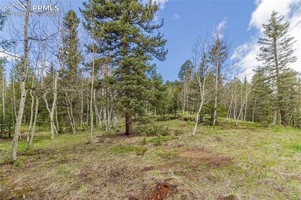 1699 Spring Valley Drive Divide, CO 80814 - Photo 31 of 43 a backyard of a house