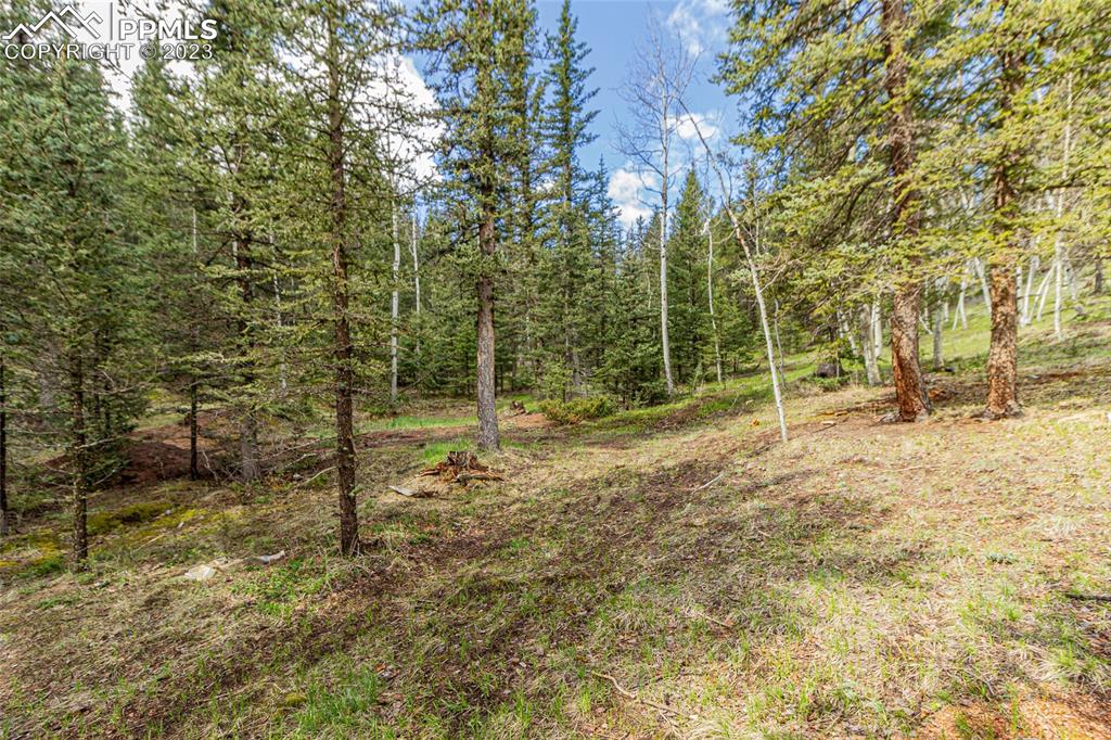 1699 Spring Valley Drive Divide, CO 80814 - Photo 32 of 43 a view of outdoor space with trees