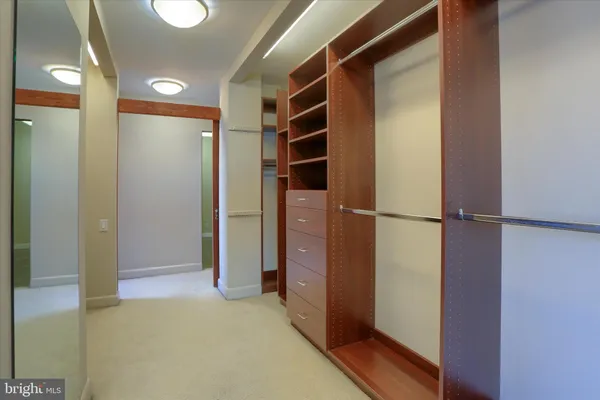 a view of walk in closet with empty racks