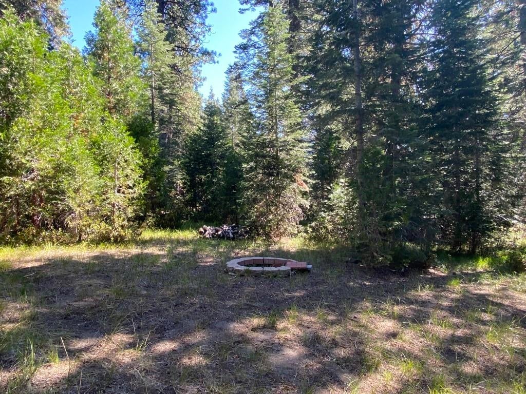 3-e-45 Red Fir Road McCloud, CA 96057 - Photo 15 of 33 Gallery Image 15