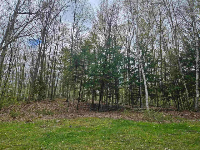 $25,000 | Lot 123 Paulsen Circle, Woodsville, NH 03785