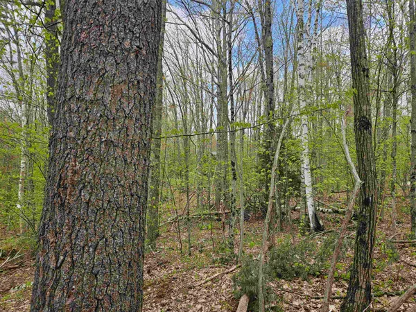 $25,000 | Lot 123 Paulsen Circle, Woodsville, NH 03785