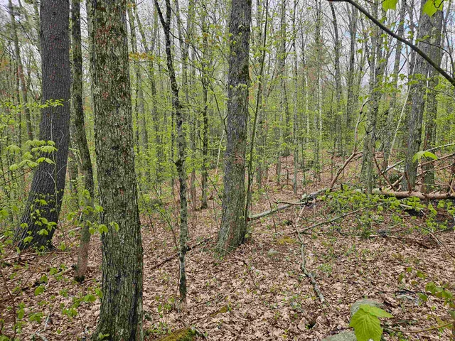 $25,000 | Lot 123 Paulsen Circle, Woodsville, NH 03785