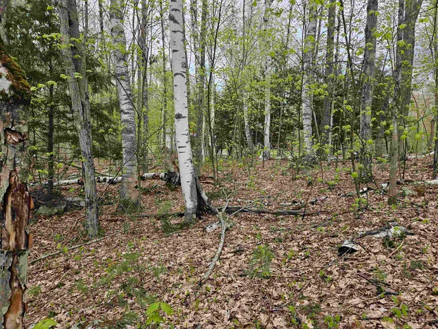 $25,000 | Lot 123 Paulsen Circle, Woodsville, NH 03785