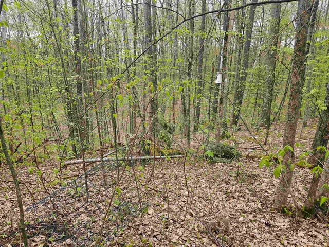 $25,000 | Lot 123 Paulsen Circle, Woodsville, NH 03785