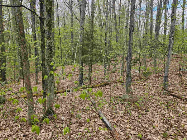 $25,000 | Lot 123 Paulsen Circle, Woodsville, NH 03785