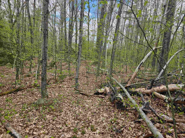$25,000 | Lot 123 Paulsen Circle, Woodsville, NH 03785