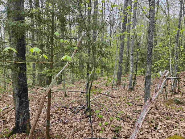 $25,000 | Lot 123 Paulsen Circle, Woodsville, NH 03785
