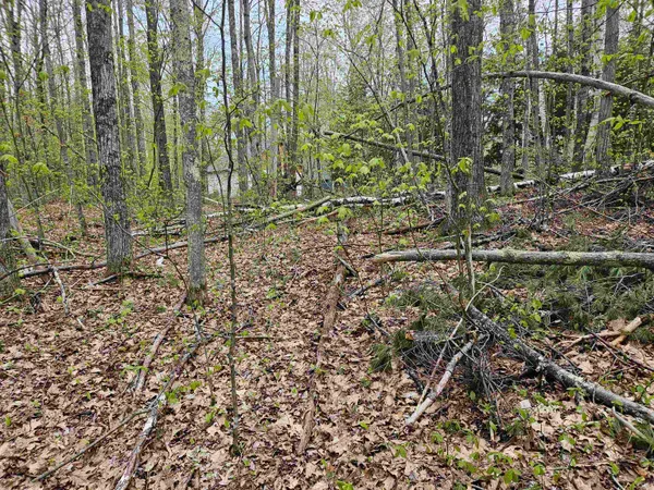 $25,000 | Lot 123 Paulsen Circle, Woodsville, NH 03785