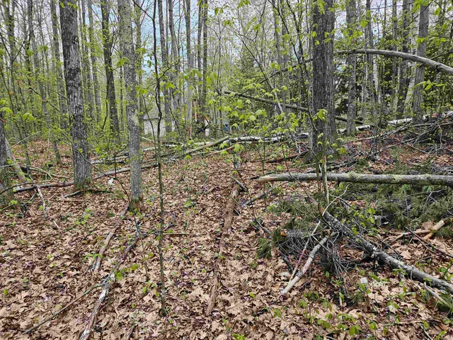 $25,000 | Lot 123 Paulsen Circle, Woodsville, NH 03785