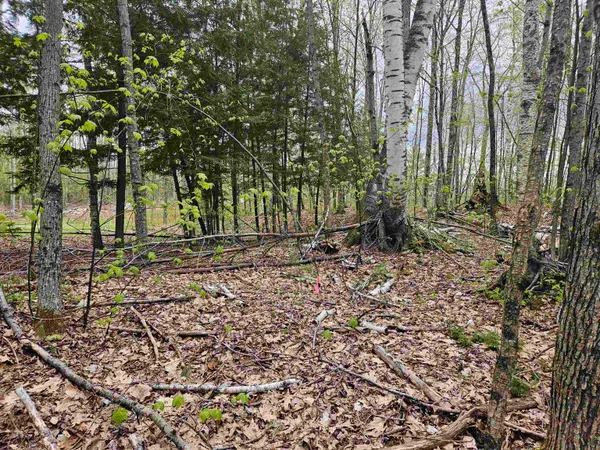 $25,000 | Lot 123 Paulsen Circle, Woodsville, NH 03785