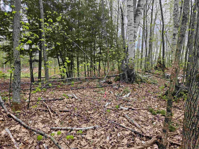$25,000 | Lot 123 Paulsen Circle, Woodsville, NH 03785