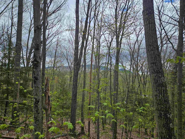 $25,000 | Lot 123 Paulsen Circle, Woodsville, NH 03785